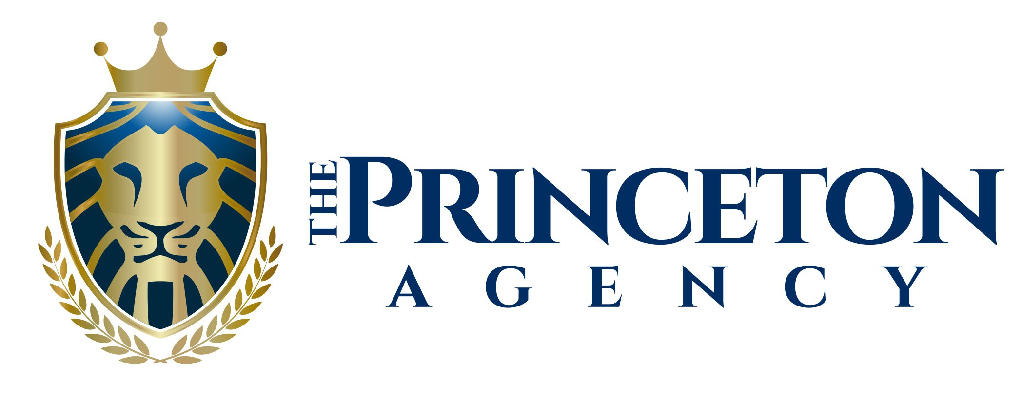 The Princeton Insurance Agency logo 2